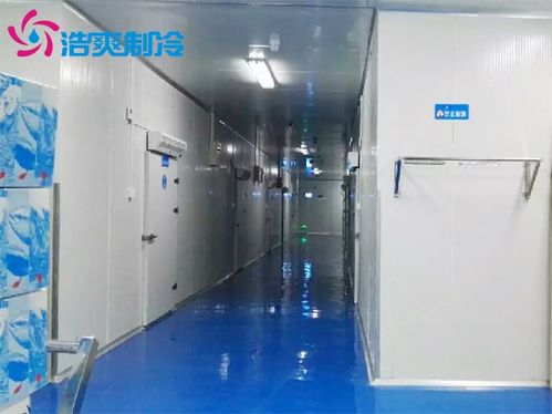 水產(chǎn)冷庫建造一個100平方的海鮮速凍冷庫造價