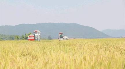 政策東風至，農機企業迎轉機 聚焦農業生產托管服務的六大戰略機遇